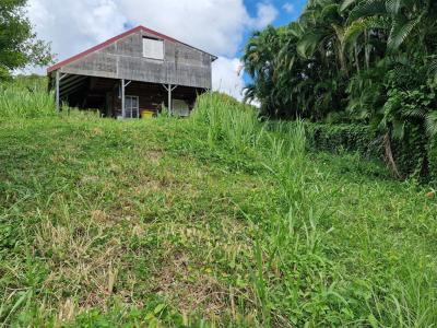 photo For sale Land VAUCLIN 972