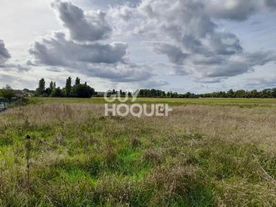 photo For sale Land MONETEAU 89