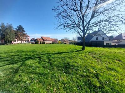 photo For sale Prestigious house GRIES 67
