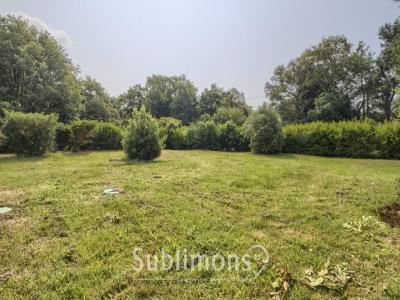 Vente Terrain LOCMARIAQUER 56740