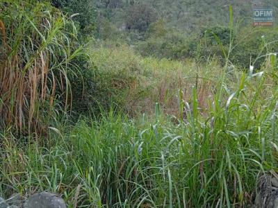 Vente Terrain CILAOS 97413