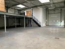 Louer Commerce Roncq Nord