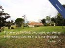 House LAMOTHE-CUMONT 
