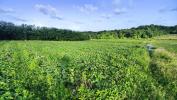 Land VAUCLIN 