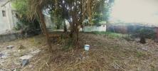 Annonce Vente Terrain Ravine-des-cabris