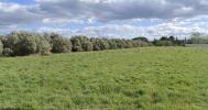 Annonce Vente Maison Rieux-minervois