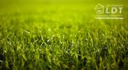 Vente Terrain Vaucourtois 77