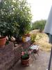 Location Appartement Furiani 20