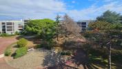 Vente Appartement Saint-cyprien 66