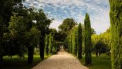 Prestigious house SAINT-EMILION 