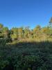 Vente Terrain Brede 33