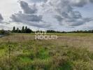 Land MONETEAU 