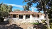 Vente Maison Sotta 20