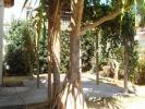 Location Maison Possession 974