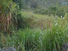 Vente Terrain Cilaos 974