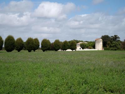 Vente Maison 8 pièces SAINT-AGNANT 17620