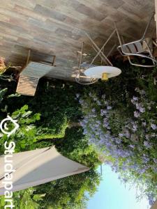 photo For rent Apartment JUAN-LES-PINS 06