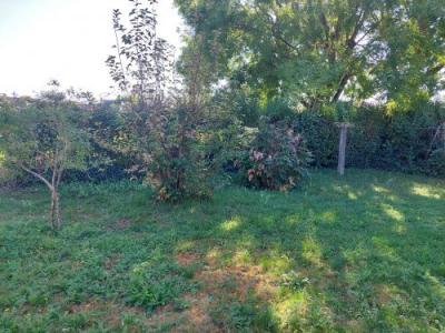 photo For sale House SAINT-AMAND-MONTROND 18