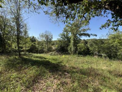 For sale Land MENOUX  36