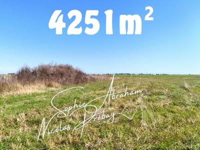 photo For sale Land CROTTES-EN-PITHIVERAIS 45