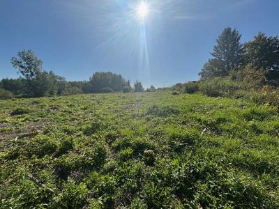 Vente Terrain ORTILLON  10