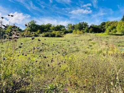 photo For sale Land NOGENT-LE-ROI 28