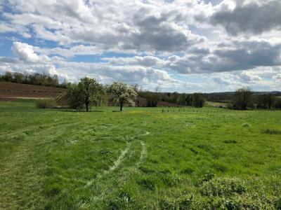 photo For sale Land GOURNAY-EN-BRAY 76