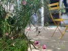 Acheter Appartement 28 m2 Saintes-maries-de-la-mer