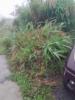 Acheter Terrain Sainte-marie 150258 euros