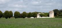Annonce Vente 8 pièces Maison Saint-agnant