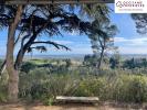 Prestigious house CASTELNAUDARY 
