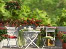 Vente Appartement Plessis-bouchard 95