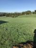 Vente Terrain Malemort-sur-correze 19
