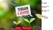 Vente Terrain Plate 974