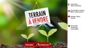Vente Terrain Saint-pierre 974