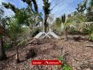 Acheter Terrain 539 m2 Saint-benoit