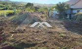 Annonce Vente Terrain Plate