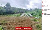 Vente Terrain Petite-ile 974