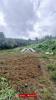 Annonce Vente Terrain Petite-ile