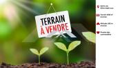 Vente Terrain Saint-leu 974