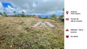 Vente Terrain Petite-ile 974