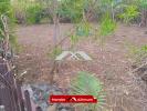 Acheter Terrain 523 m2 Tan-rouge