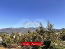 Land PLAINE-DES-CAFRES 