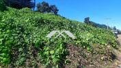 Annonce Vente Terrain Chaloupe