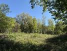 Annonce Vente Terrain Argenton-sur-creuse