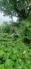 Vente Terrain Saint-joseph 974