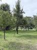 Vente Terrain Ploermel 56