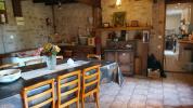 Acheter Maison 290 m2 Lurcy-levis