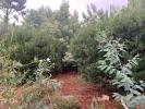 Vente Maison Arcachon  33120 4 pieces 90 m2