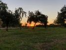 Land PLOERMEL 